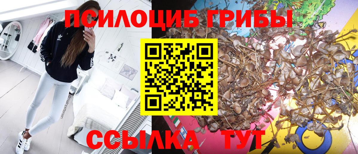Псилоцибиновые грибы мицелий  Псилоцибиновые грибы Psilocybe  дарнет шоп  Тюмень 