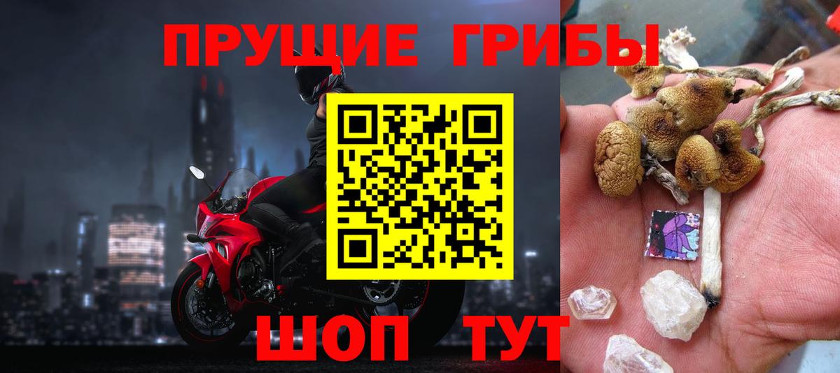 Галлюциногенные грибы прущие грибы  Вход с VPN  Тюмень 