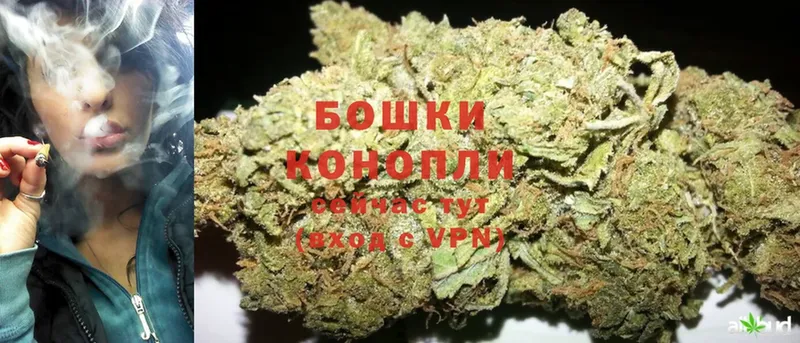 Бошки марихуана SATIVA & INDICA  Тюмень 